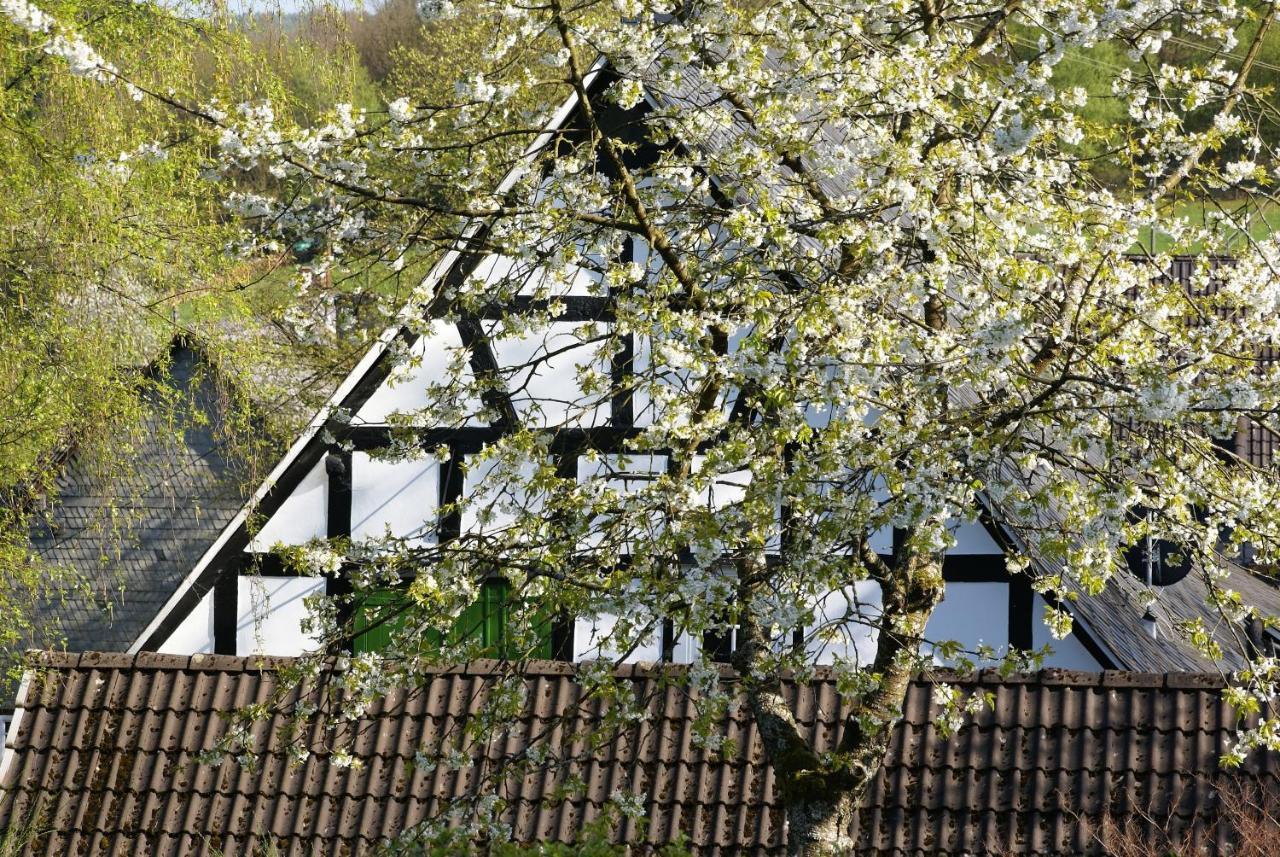 Gasthof Schumacher Hotel Garni 弗罗伊登贝格 外观 照片